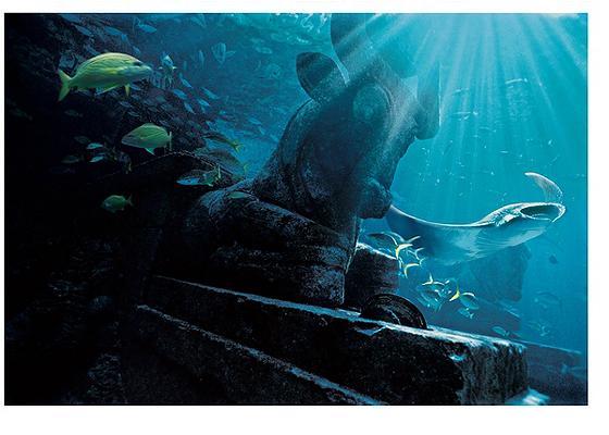 Atlantis Manta Ray
